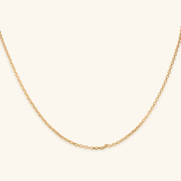 14k gold Rolo Chain Necklace  front view – Foundry Jewelry