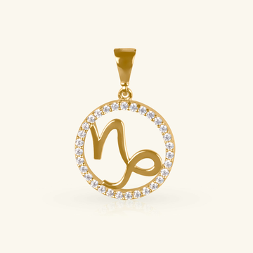 Capricorn Pendant, Made in 14k solid gold
